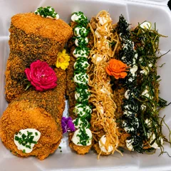 Hot Mazary – 40 peças + 2 Temakis