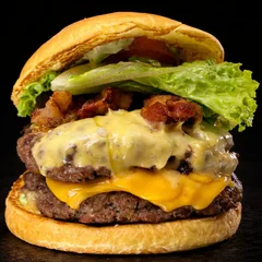 MONSTRO HOUSE