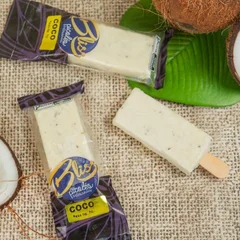Paleta Bliss Tradicional Coco- 65 g