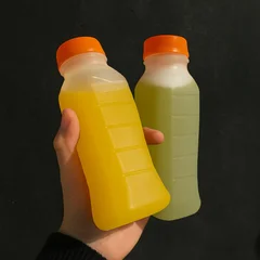 SUCOS NATURAIS 300ML