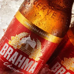 Brahma 600 ml 