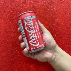 Coca Cola 350ml Lata
