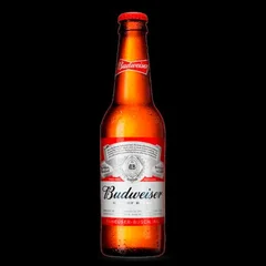 Cerveja Budweiser Long Neck