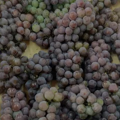 Uva Rosada