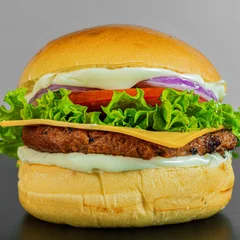 Vegetariano Salad Burguer