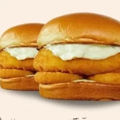 Chicken Onion