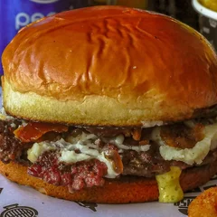 Smash Burger Catupiry ( 1 Camada ) No Precinho!