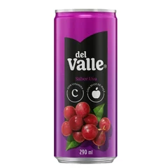  Suco Néctar Del Valle Uva 290ml