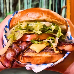 Salad & Bacon Burger