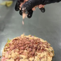 08-TRADICIONAL FRANGO COM BACON E CEBOLA