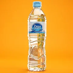 Água Mineral Natural Passa Quatro 510ml