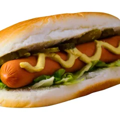 Hot Dog Simples 