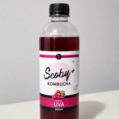 Kombucha Scoby Uva