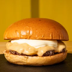 Hambúrguer X Burger