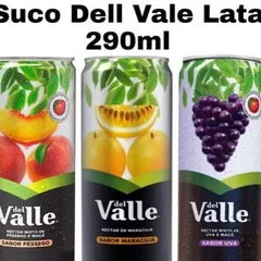 Suco Dell vale 290ml