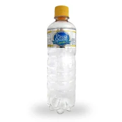 Água Mineral com Gás Passa Quatro Pet 510ml