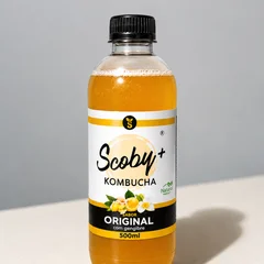 Kombucha Scoby Original