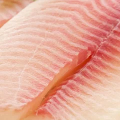 Filé de tilápia serra e mar de 1 kg