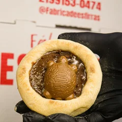 Tortuguita com ovomaltiine