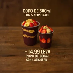 Copo de 500ml 5 Adicionais +14,99 Leva copo de 300ml com 4 adicionais