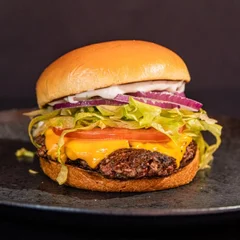 Salad Burguer