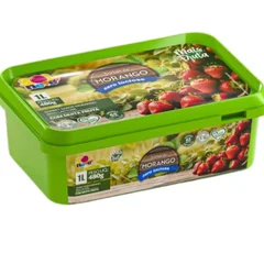 Mais Fruta Morango zero lactose 