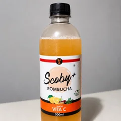 Kombucha Scoby Vita C