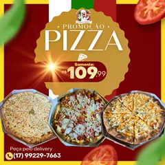 3 PIZZAS SALGADAS 
