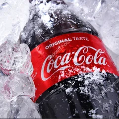 Refrigerantes 1 Litro