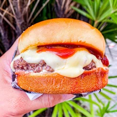 Burguer Alquimista