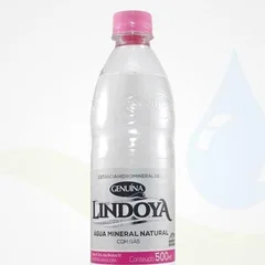 Água Mineral com Gás 500ml