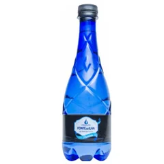 Água Mineral s/ Gás Garrafa 500ml