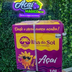 AÇAÍ CAIXA 10 LITROS 