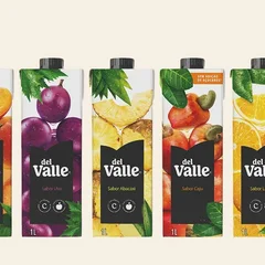 DEL VALLE SEM ADICAO DE ACUCARES SABOR GOIABA 1L 