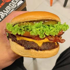 Mr.Young COMBO