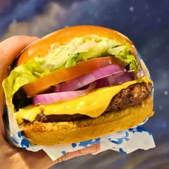Classic Salad Burger