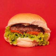 X - Salada