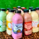 DRINK EXPRESS SABOR PACOCA 530ML 