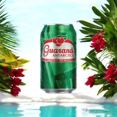 Guaraná Antártica 350ml