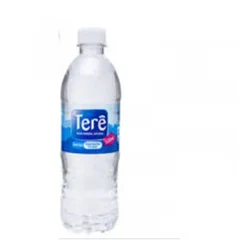 Água Sem Gás Terê 510ml
