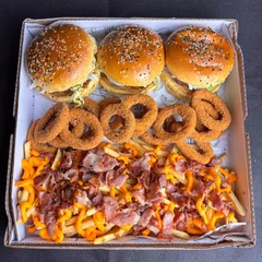 Combo Família 1: 3 Lanches + 500g Fritas com Cheddar e Bacon + 15 Onion Rings
