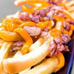 Fritas especiais