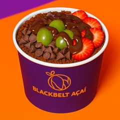 Açaí Premium 550ML - O Famosão 