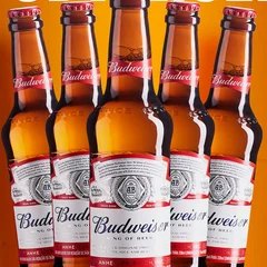 Combo 5 Budweiser