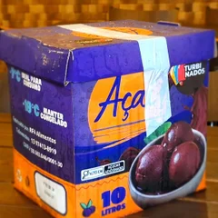 AÇAÍ TURBINADO COM CREME DE LEITINHO 10L