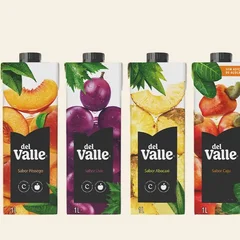 DEL VALLE SABOR MANGA 1L 