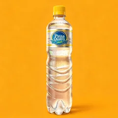 Água Mineral com Gás Passa Quatro Pet 510ml