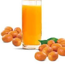 suco de caja