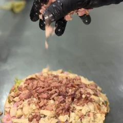 07-TRADICIONAL FRANGO COM BACON 
